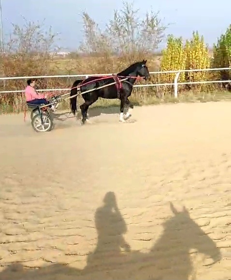 VideoCapture_20251024-161427.jpg