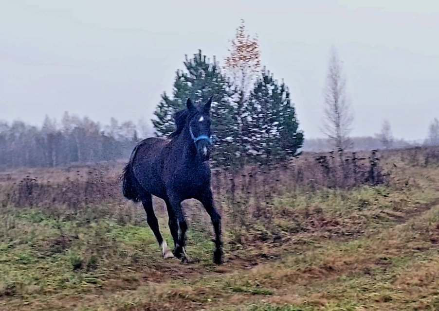 VideoCapture_20251025-174747.jpg