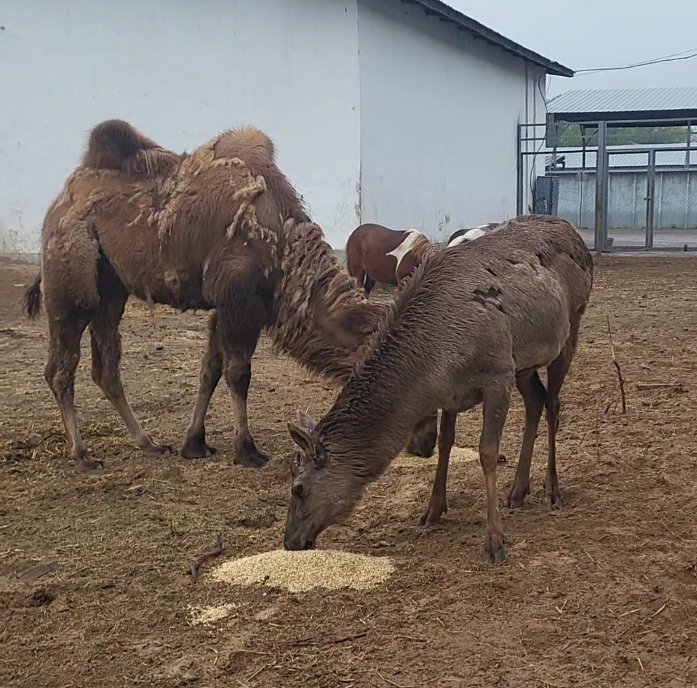 VideoCapture_20260416-123349.jpg
