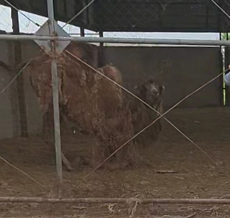 VideoCapture_20260503-150711.jpg