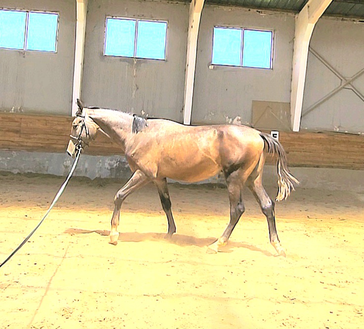 VideoCapture_20260727-123601.jpg