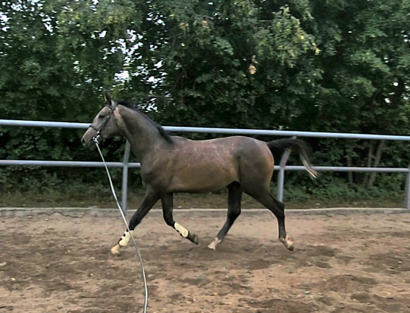 VideoCapture_20260804-164027.jpg