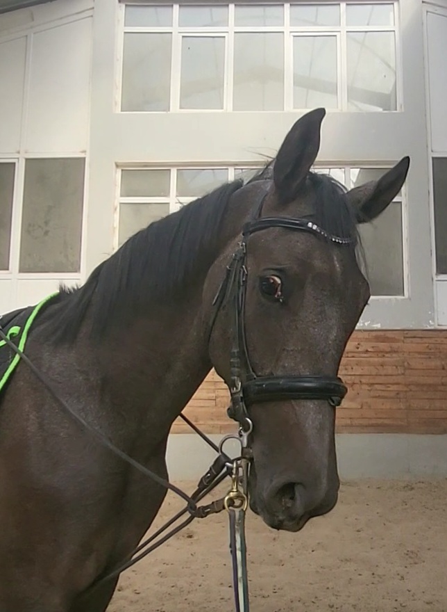 VideoCapture_20260915-204752.jpg