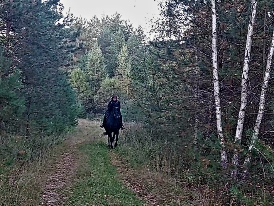 VideoCapture_20260917-131108.jpg