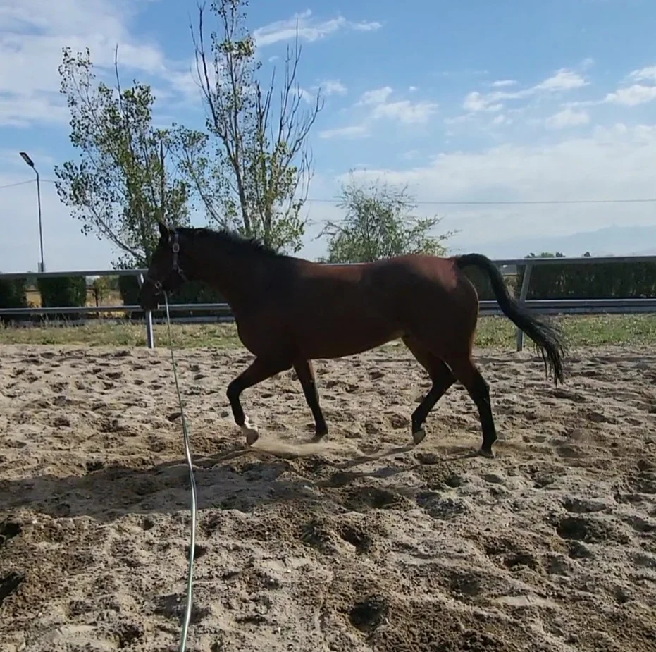 VideoCapture_20261009-222940.webp
