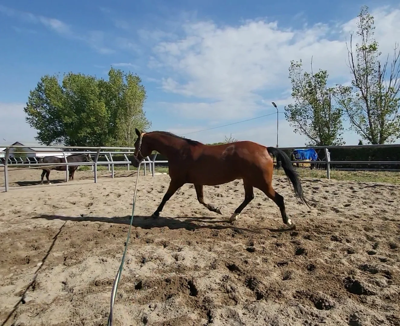VideoCapture_20261009-224621.webp