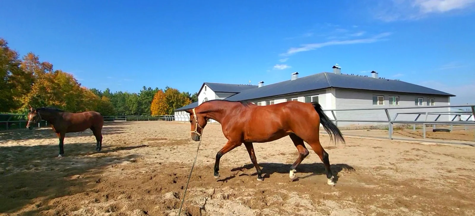 VideoCapture_20261009-224755.webp