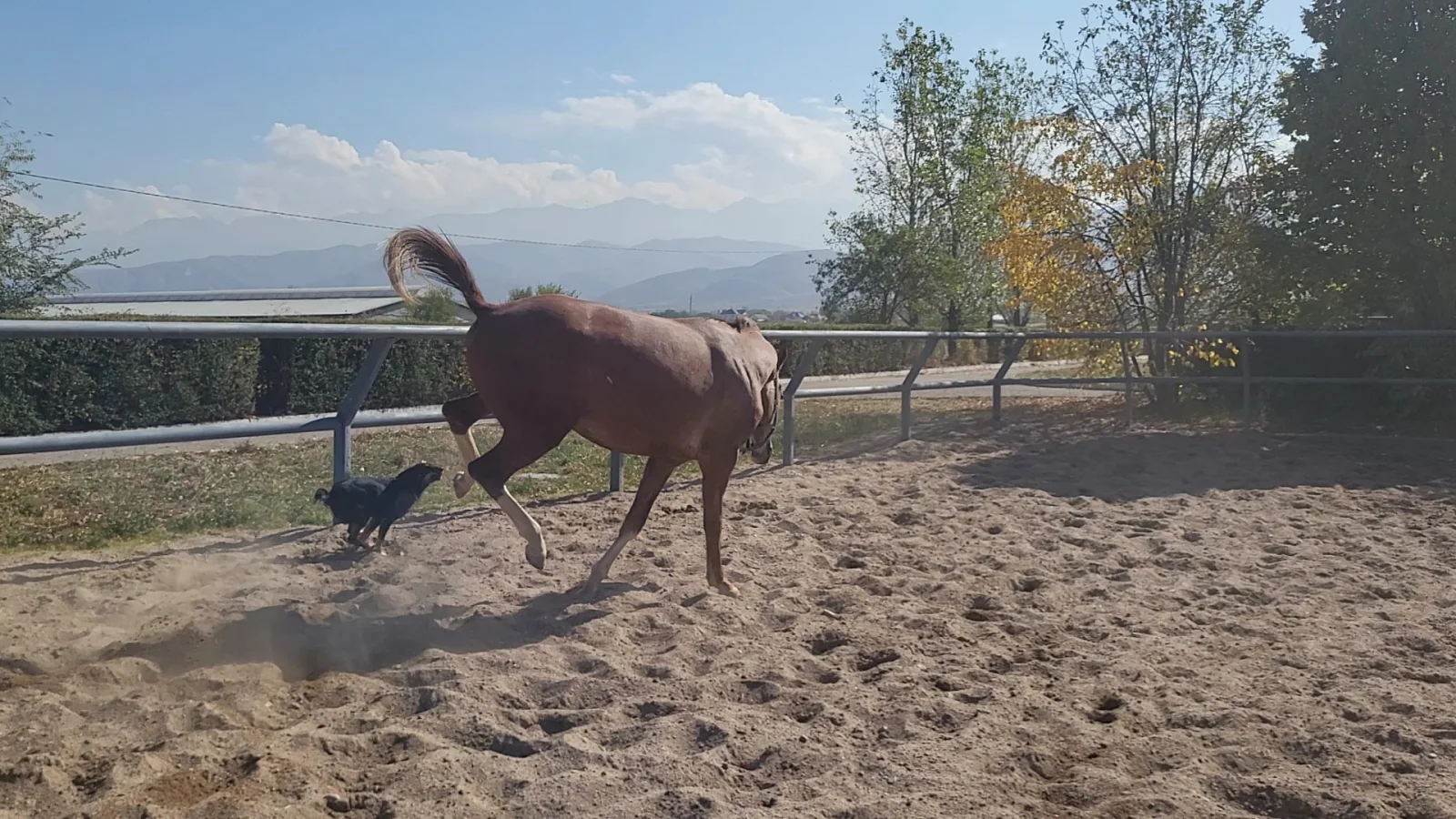 VideoCapture_20261010-123813.webp