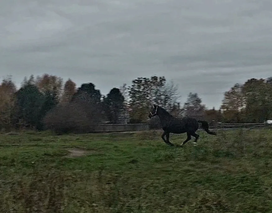 VideoCapture_20261011-181449.webp