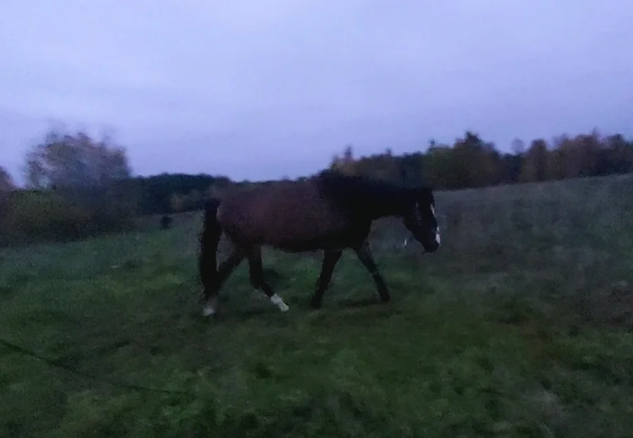 VideoCapture_20261011-182106.webp