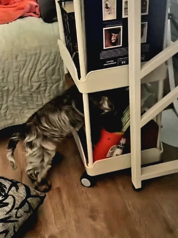 VideoCapture_20261023-140524.webp