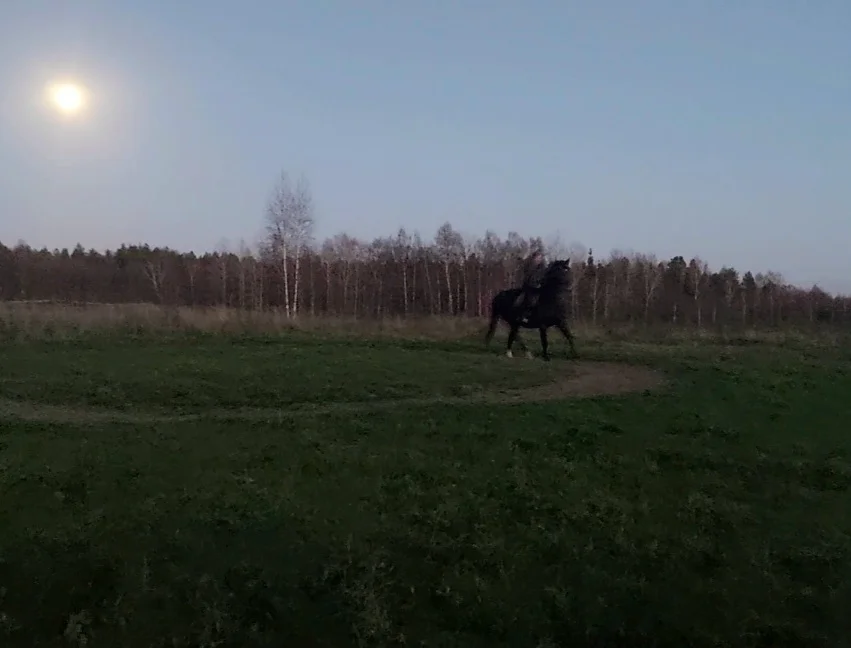 VideoCapture_20261025-183800.webp