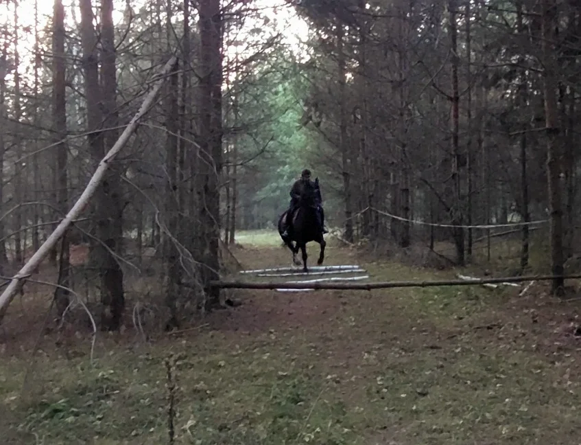 VideoCapture_20261027-124814.webp