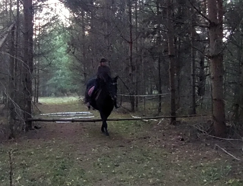 VideoCapture_20261027-125139.webp