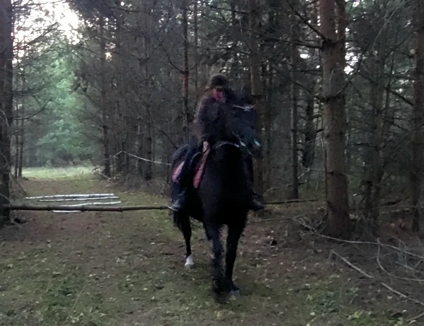 VideoCapture_20261027-125306.webp