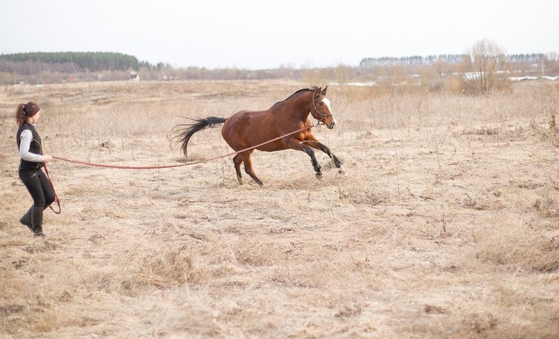 VK_Saved_Photo_ 636272830780205460.jpg