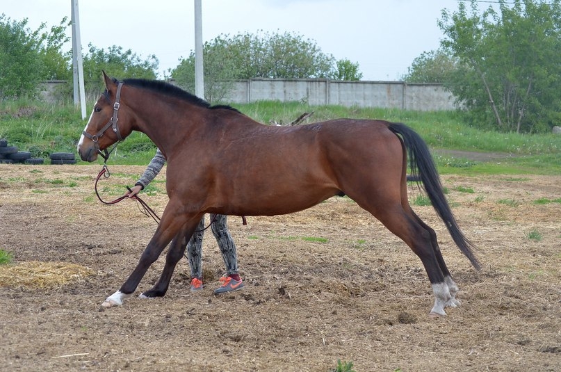 VK_Saved_Photo_ 636315096697622608.jpg