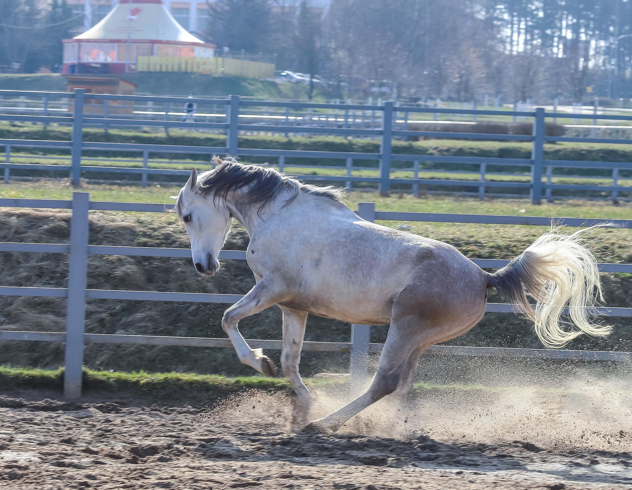 влтава бавария 3.jpg