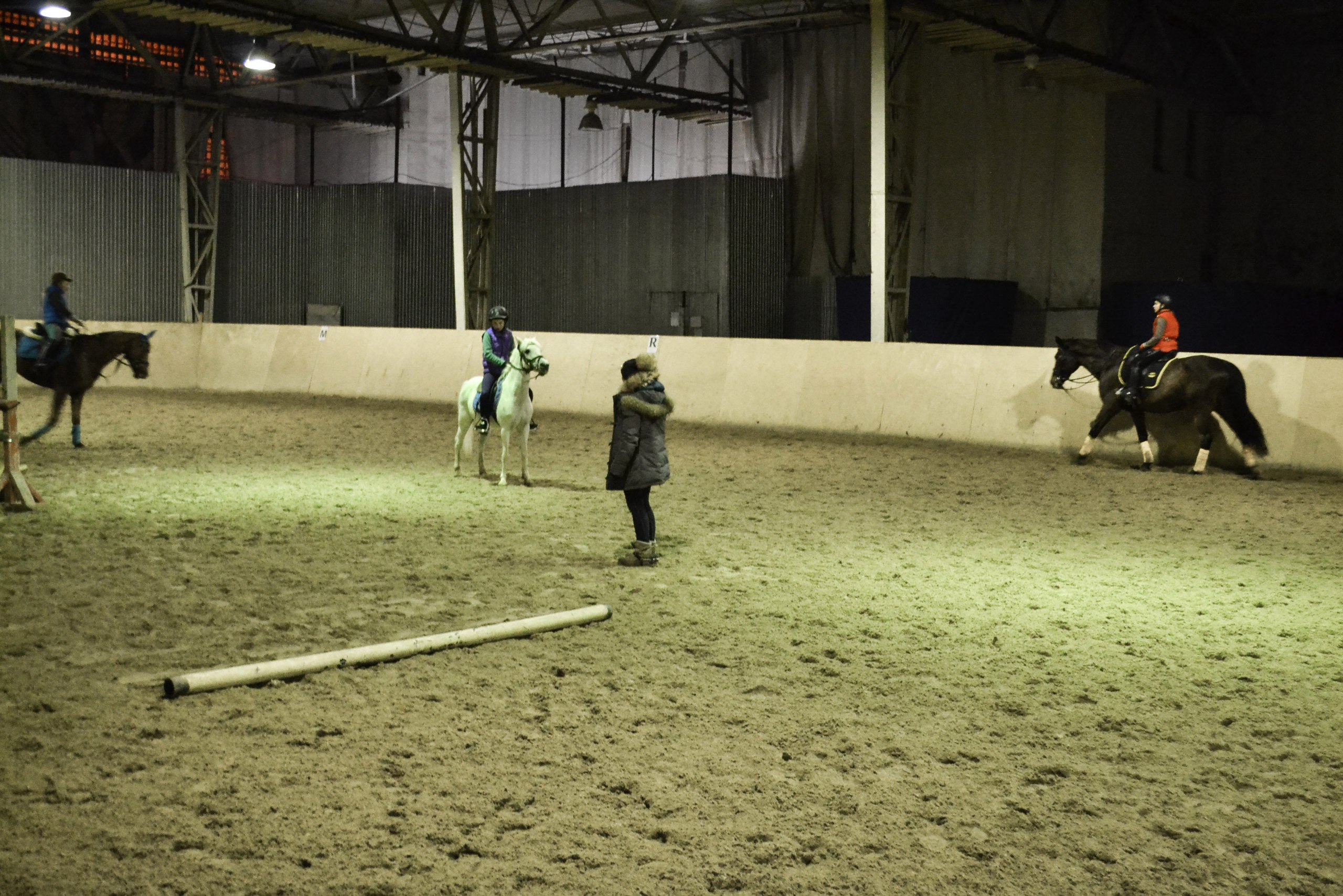 всадники в манеже вднх.jpg