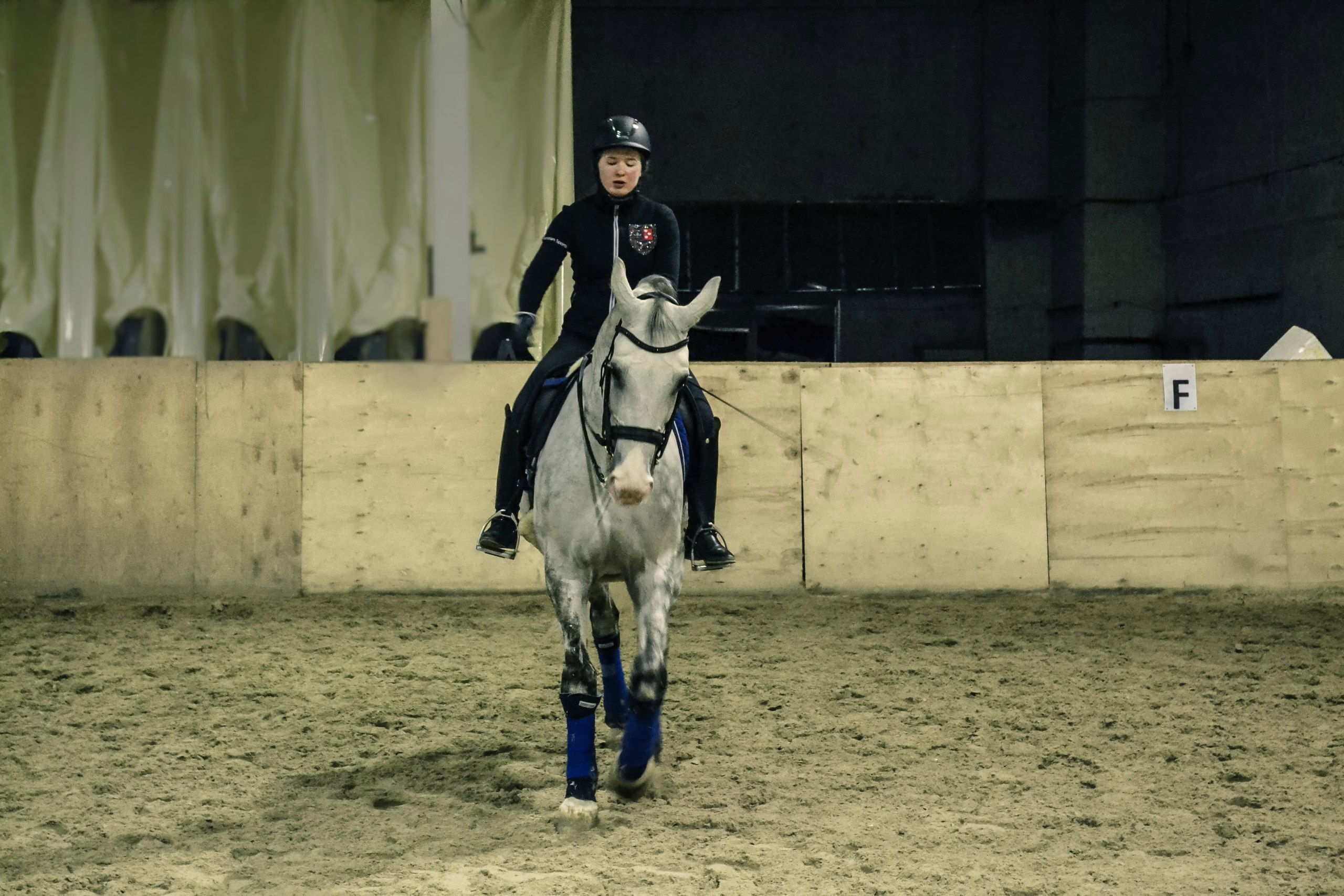 Выездка 1.jpg