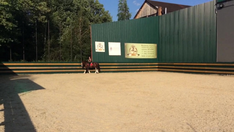 W1BAukM382M.jpg