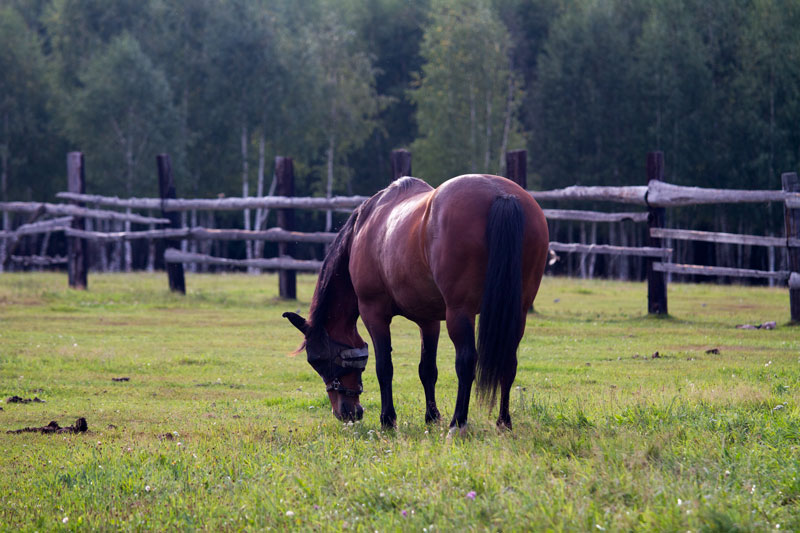W_3991.jpg
