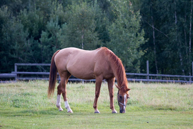 W_4002.jpg
