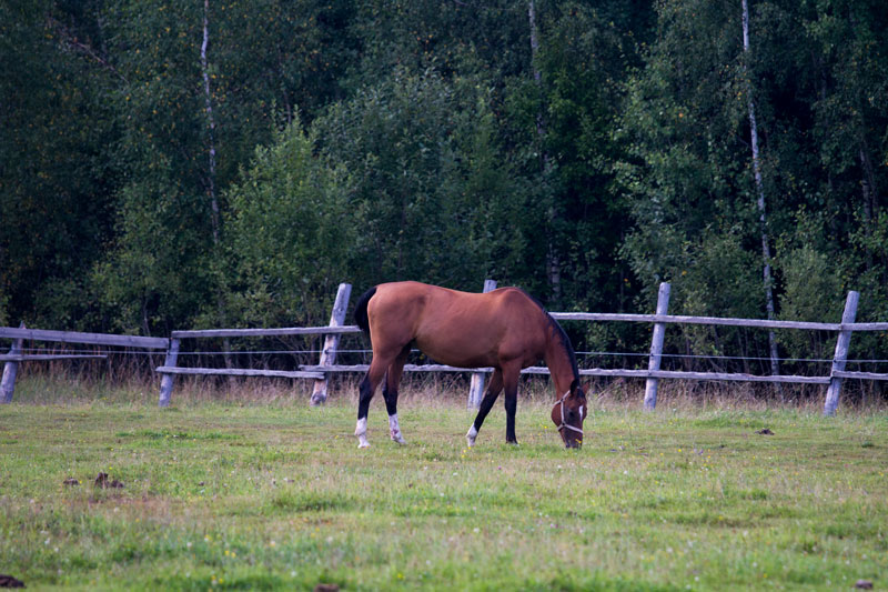 W_4023.jpg