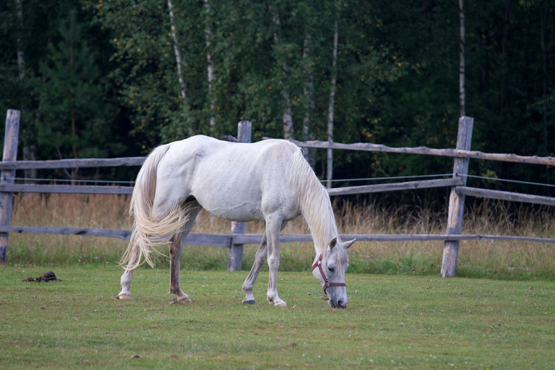 W_4027.jpg