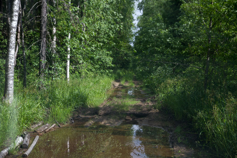 W_8239.jpg