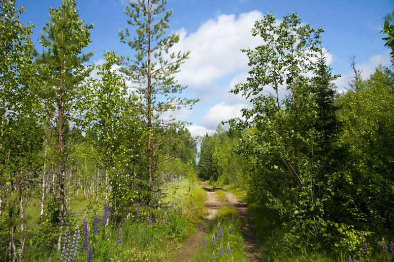 W_8250.jpg