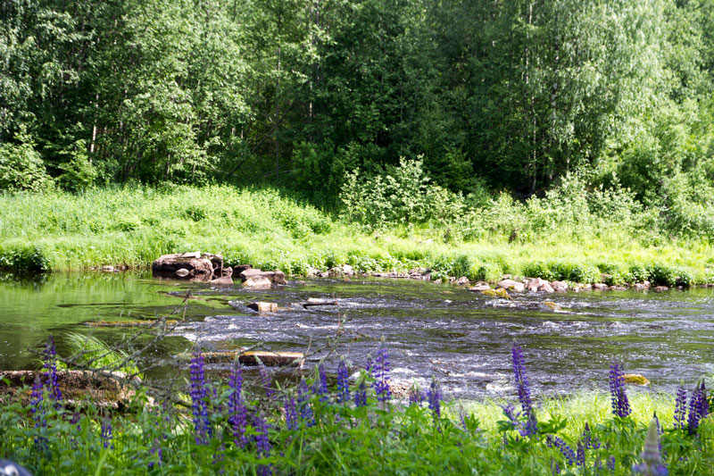 W_8275.jpg