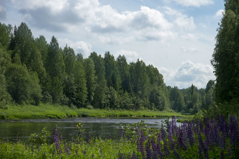 W_8283.jpg