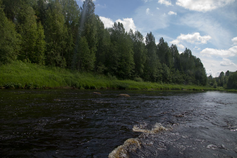 W_8296.jpg