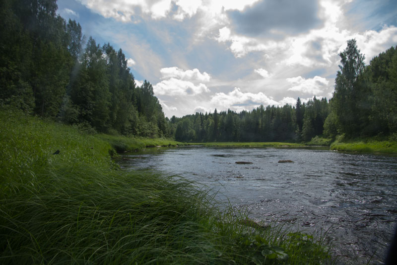 W_8298.jpg