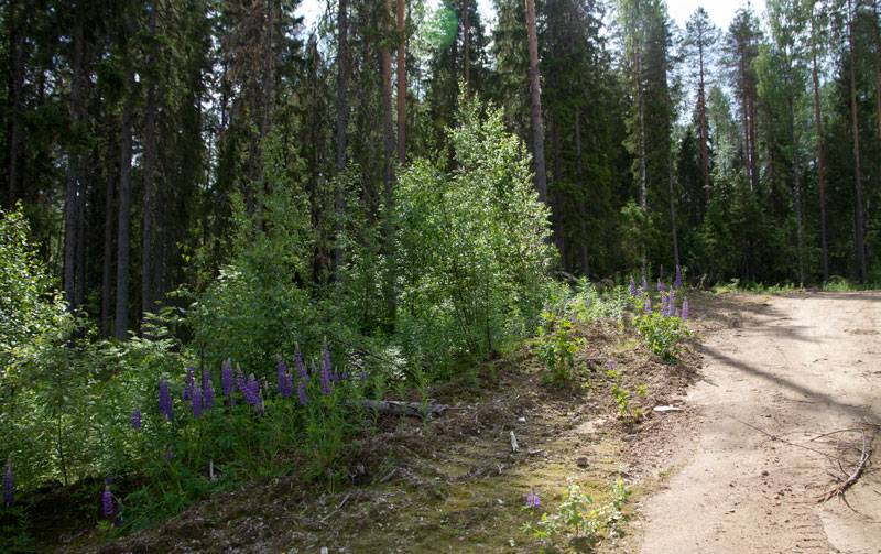 W_8392.jpg