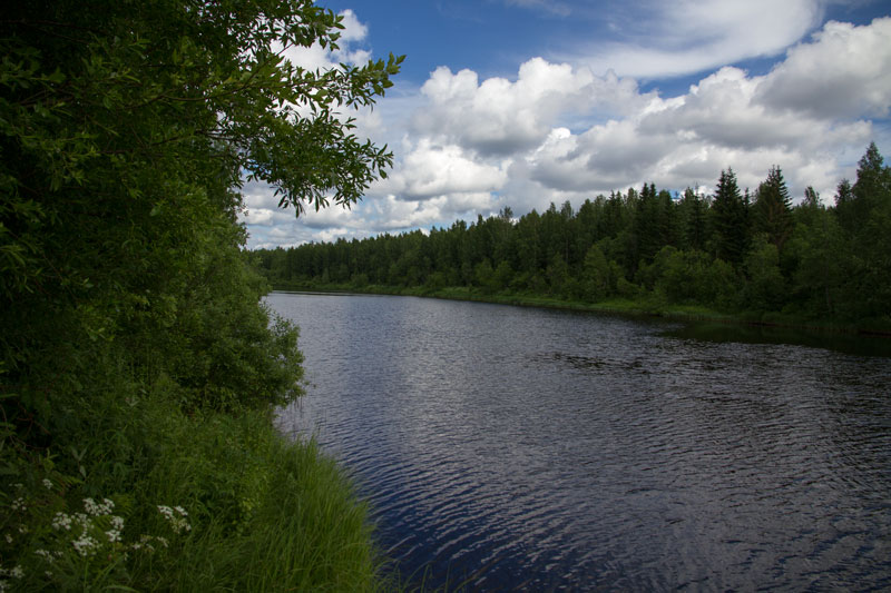 W_8395.jpg