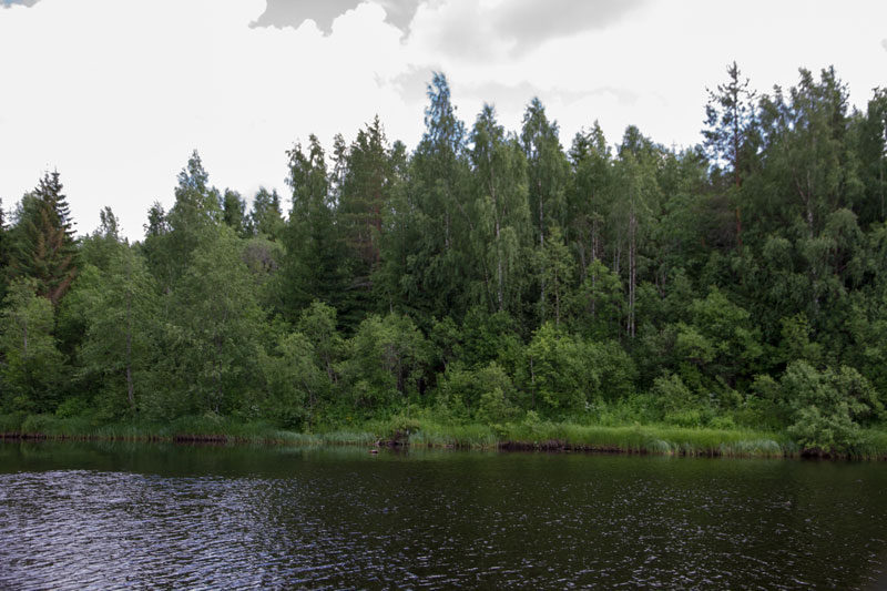 W_8396.jpg
