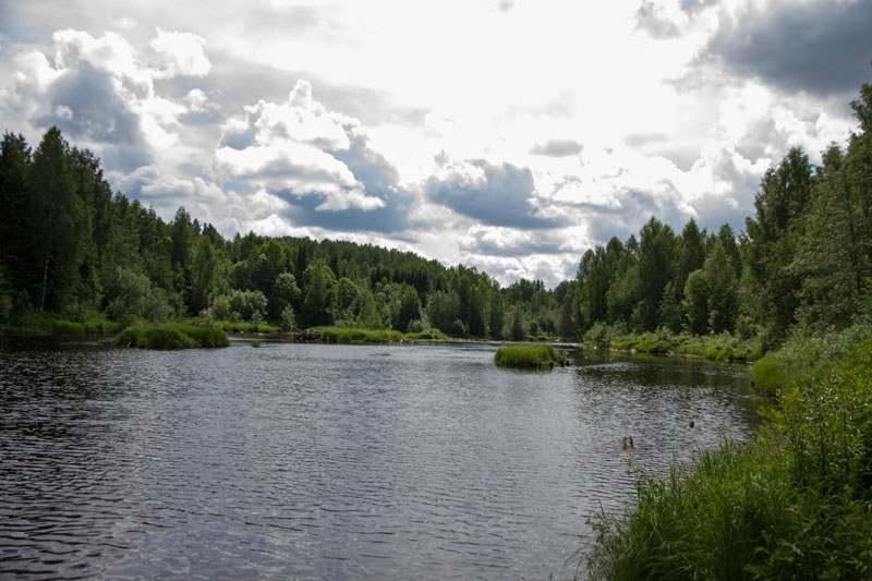 W_8402.jpg