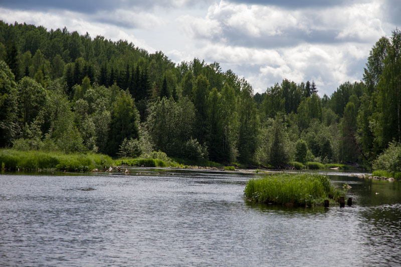 W_8403.jpg