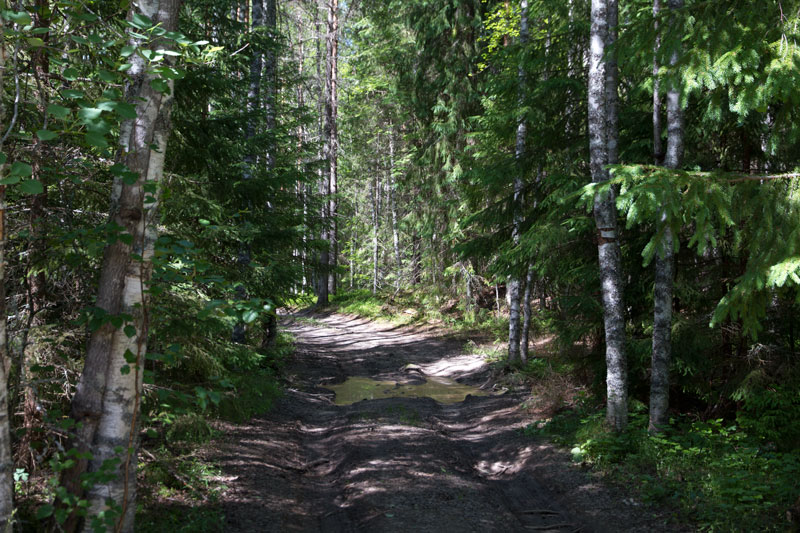 W_8405.jpg