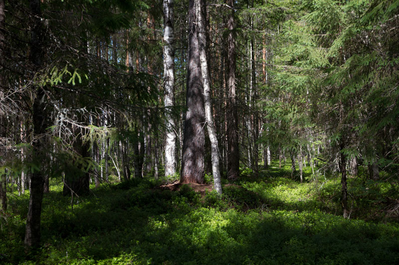 W_8406.jpg