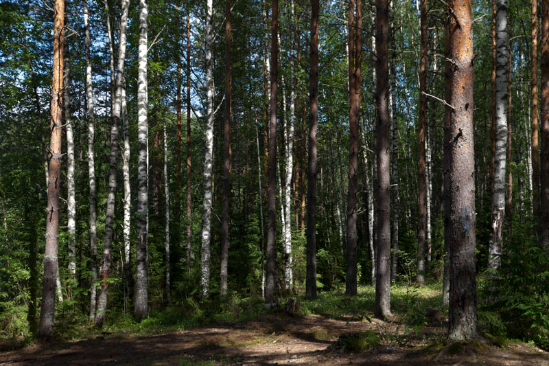 W_8409.jpg