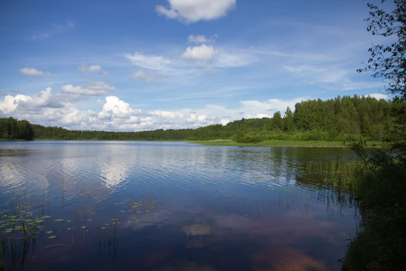 W_8412.jpg