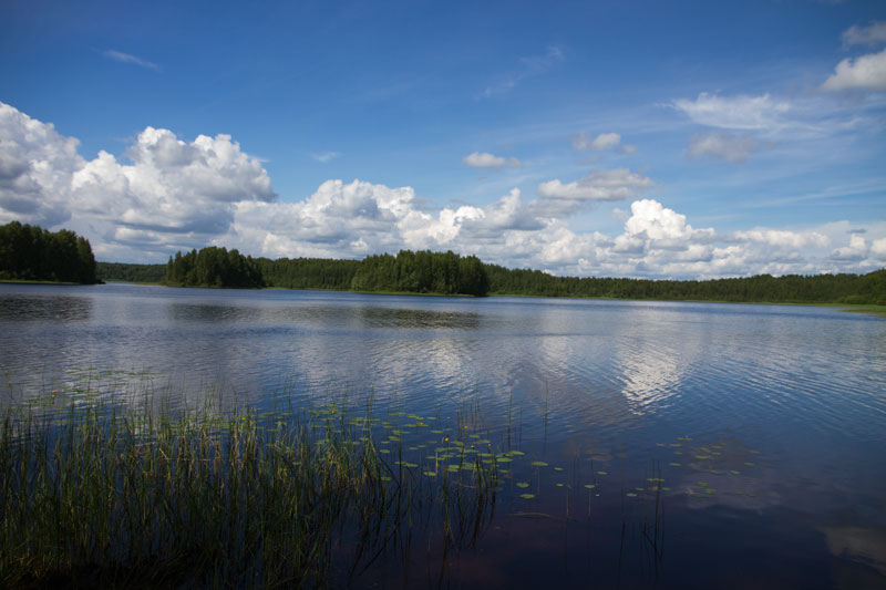 W_8413.jpg