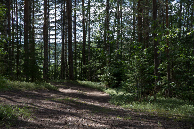 W_8418.jpg