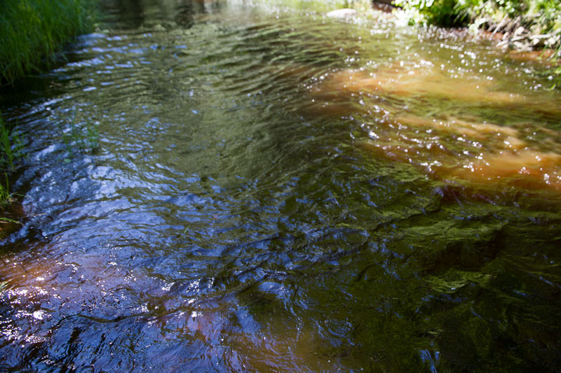 W_8421.jpg