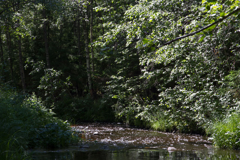 W_8422.jpg