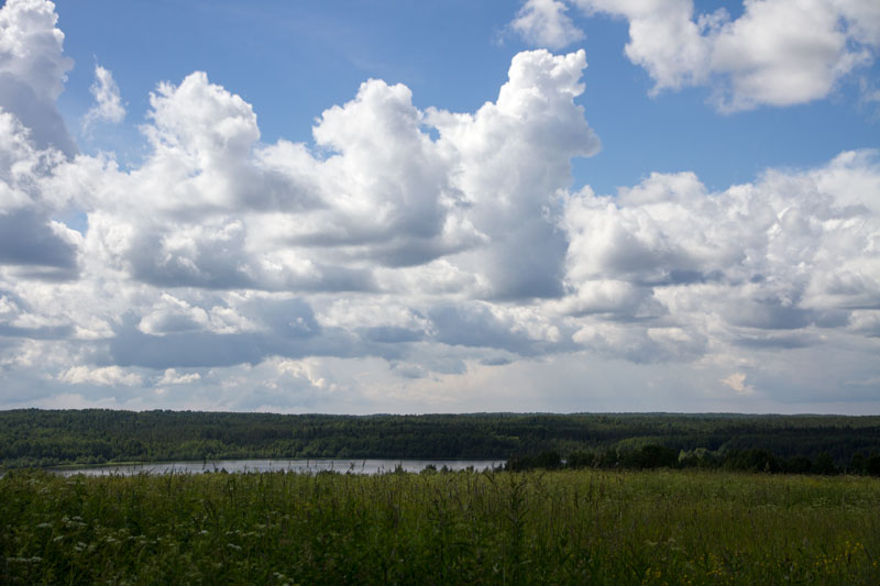 W_8424.jpg