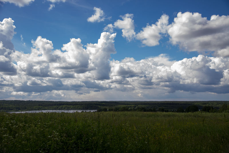 W_8427.jpg